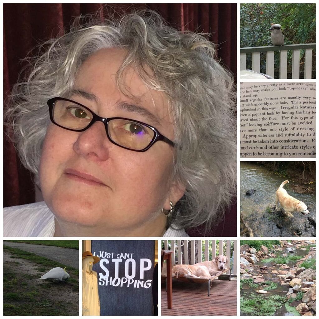 Collage of September 2015, from top left; middle aged woman, kookaburra on the balustrade, a page of an old book, dog in a stream, another stream, two dogs in a dog bed, shop sign saying "I just can't stop shopping," cockatoo pecking at a sparse lawn.