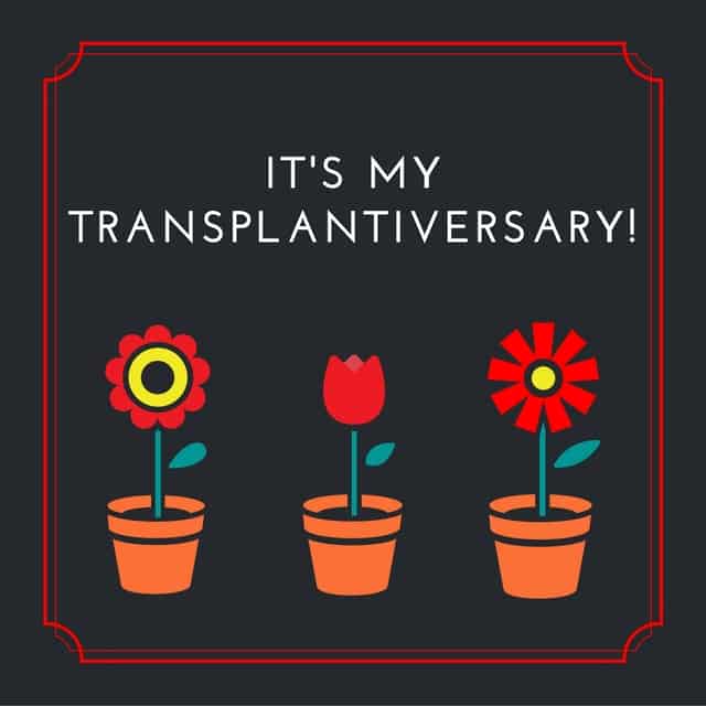 2015 Transplantiversary Stocktake