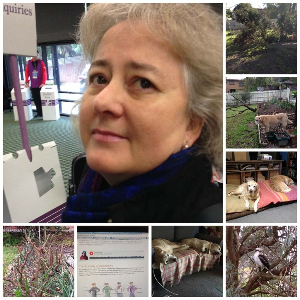 Collage of July 2016, from top left; middle aged woman, trees down after storm, after trees mostly cleared, two dogs on cushions, kookaburra in a tree, twp dogs on couches, computer showing podcast interview preview, pruned roses.