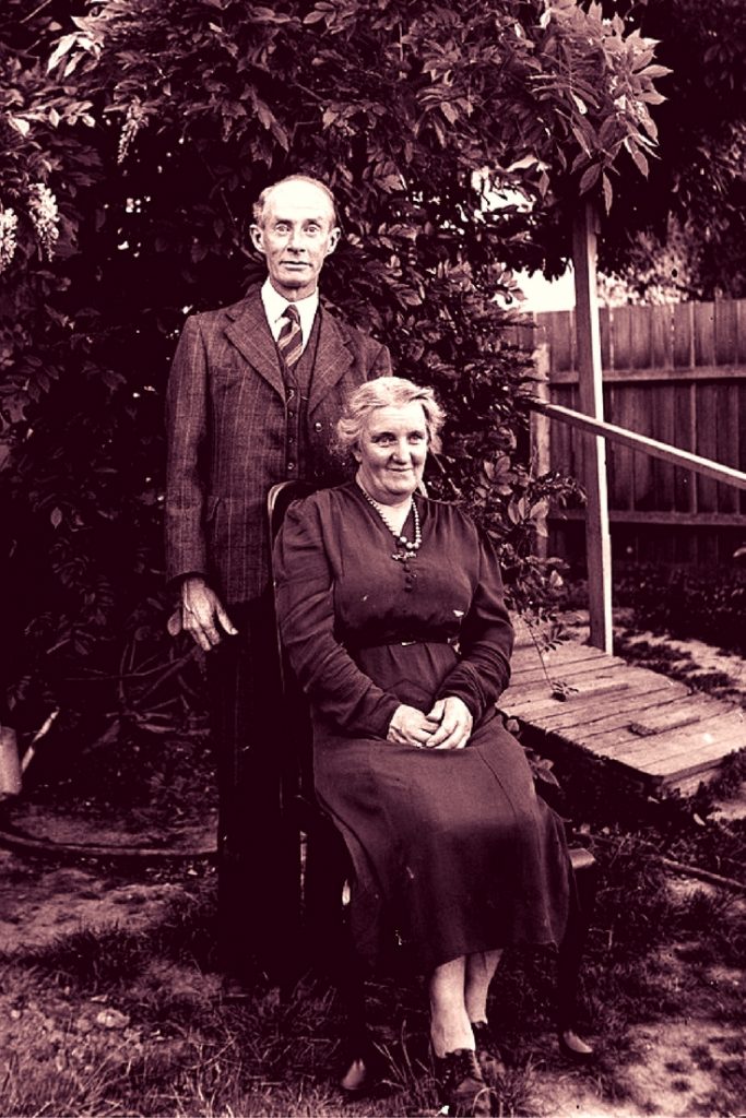 Elderly couple, the man standing behind the seated woman, in the garden (happy retirement)