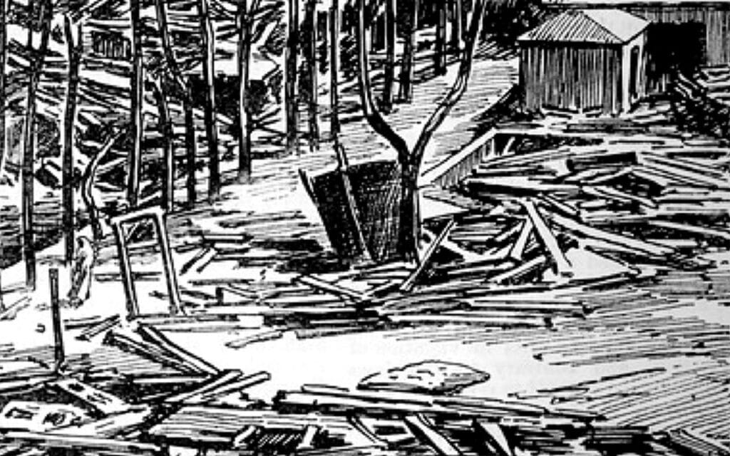 aftermath of the hurricane, trees stripped and broken, buildings flattened.