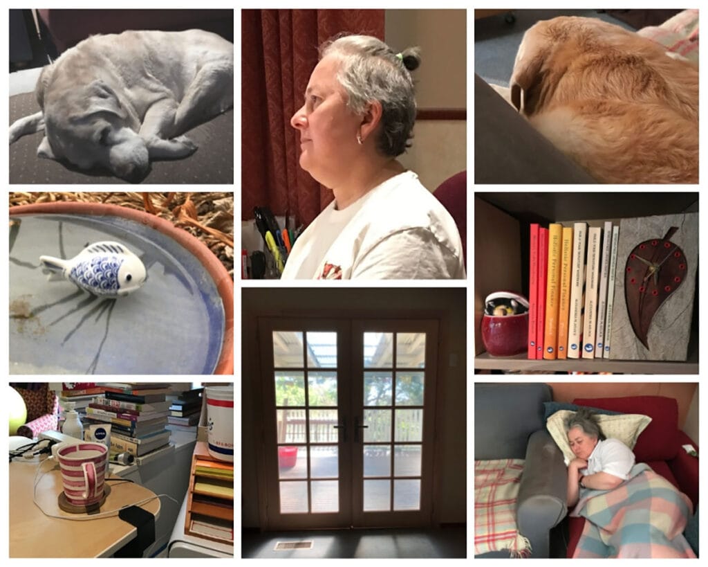 Collage of February 2019, from top left; a dog on a cushion, midde aged woman with a topknot hairstyle, another view of a dog on a cushion, Ms Blaelock's books so far, middle aged woman sleeping on a couch, view through french doors to deck, mug with pink stripes in front of stack of books, a ceramic fish floating in a ceramic bowl.