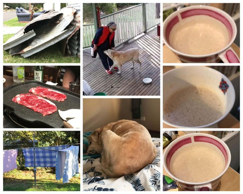Collage of April 2019, from top left: pile of chopped up water tanks, dog and middle aged woman, cup of pod coffee, another up of pod coffee, yet another pod coffee, dog on a bed, blankets drying on a washing line, beef and mushrooms on a grill.