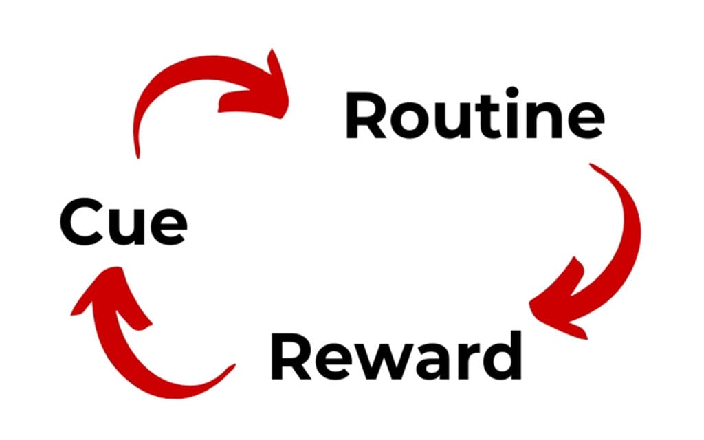 the habit cycle consists of a cue that triggers a behaviour that results in a desirable reward.
