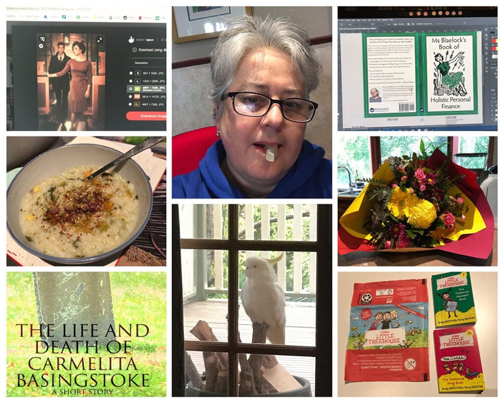 Collage of August 2020, from top left; cover images for new book, middle aged woman eating a jelly dinosaur, cover formatting of Holistic Personal Finance, bunch of flowers, little books from a supermmarket offer, cockatoo outside looking in, cover of the life and death of carmelita basingstoke, congee,