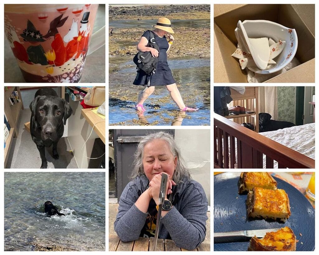 Collage of April 2022, from top left moomin mug, me walking through tidal pools, broken moomin mug, Clever Girl in the window, toasted cheese sandwich, me, Clever Girl swimming, Clever Girls standing by my desk.