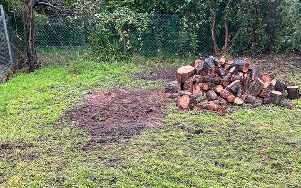 The remains of a tree on what used to be a lush lawn.