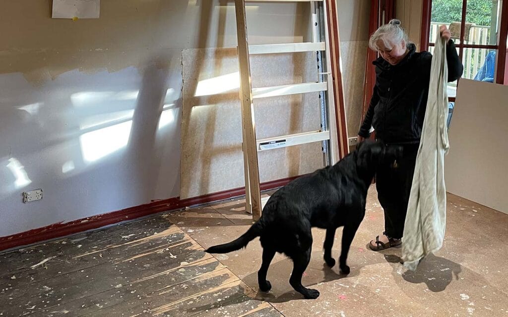 a middle aged woman trying to wrestle a towel off a dog
